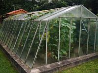 Zahrada, pozemek 750 m2 s chatou, OV, Jihlava - foto č. 4