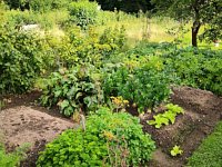 Zahrada, pozemek 750 m2 s chatou, OV, Jihlava - foto č. 5