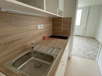 Pronájem bytu 1+1 v ulici A.Sochora v Teplicích (901)