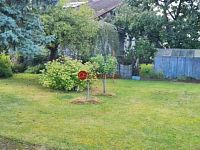 Vícegenerační dům v Rožmitále pod Třemšínem - Fotka 3