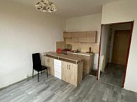 Pronájem bytu 1+1, Maršov u Krupky - Fotka 4