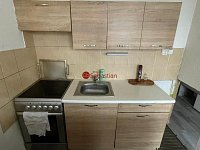 Pronájem bytu 1+1, Maršov u Krupky - Fotka 5