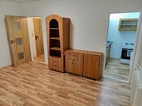 Pronájem zrekonstruovaného bytu 1+1 v ul. K. H. Borovského, Most - Fotka 14