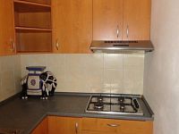 Pronájem bytu 1+kk 35 m2, v Plzni, ul. Manětínská - Foto 4