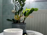 Prodej krásného a velkého  domu 4+1 se zahradou a garáží v Hradci Králové - Fotka 12