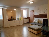 Pronájem cihlového bytu 1+KK / 42m2/  v Hradci Králové - Fotka 8