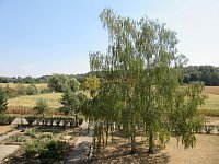 Pronájem samostatného pokoje - Fotka 5