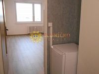 Pronájem pěkné garsonky /27m2/ po kompletní rekonstrukci na Moravském Předměstí - Fotka 5