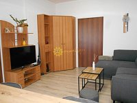 Pronájem pěkného světlého bytu 1+KK /50m2/ ve Svobodných Dvorech - Fotka 5