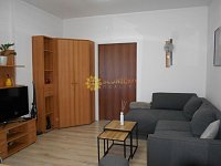 Pronájem pěkného světlého bytu 1+KK /50m2/ ve Svobodných Dvorech - Fotka 7