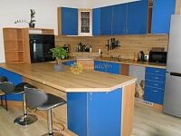 Pronájem pěkného světlého bytu 1+KK /50m2/ ve Svobodných Dvorech - Fotka 2