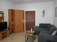 Pronájem pěkného světlého bytu 1+KK /50m2/ ve Svobodných Dvorech - Fotka 7