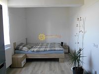 Pronájem pěkného světlého bytu 1+KK /50m2/ ve Svobodných Dvorech - Fotka 8