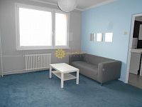 Pronájem slunného  bytu 1+1 /32m2/ na Moravském Předměstí - Fotka 3