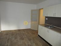 Pronájem bytu 1+1 po kompletní rekonstrukci, parkovací místo v ceně, centrum - Fotka 2