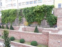 Pronájem pěkného cihlového bytu 1+1 /27m2/ v centru Hradce Králové - Fotka 10
