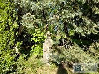 Prodej rodinného domu Stará Bělá - 20250502_102332 (1).jpg