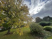 Prodej rodinného domu 110 m², pozemek 1.494 m² - IMG_1164.jpg