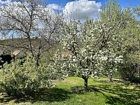 Prodej rodinného domu 110 m², pozemek 1.494 m² - IMG_9160.jpg