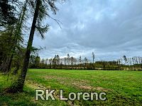 Prodej pozemku v blízkosti obce Radostín nad Oslavou - Obrázek k zakázce č.: 701876