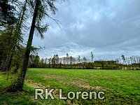 Prodej pozemku v blízkosti obce Radostín nad Oslavou - Obrázek k zakázce č.: 701876