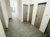 Pronájem bytu, pokoje na ul.Špitálka, Brno - Trnitá - Obrázek k zakázce č.: 717602