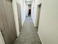 Pronájem bytu, pokoje na ul.Špitálka, Brno - Trnitá - Obrázek k zakázce č.: 717602