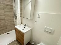 Pronájem bytu 2+1 na ul. Dřevařská - Veveří, Centrum - Obrázek k zakázce č.: 643661