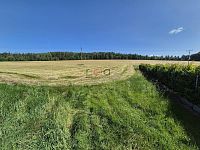 Prodej stavebního pozemku 1725m2 ve Cvikově. - 4c9ab8cf-e137-40f3-9c21-bccc51e37bda.JPG