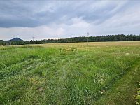 Prodej stavebního pozemku 1725m2 ve Cvikově. - 8acee335-8e3a-4d76-9cd5-5703b8e5c430.JPG