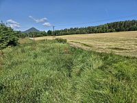 Prodej stavebního pozemku 1725m2 ve Cvikově. - f1ca4486-a335-4ac3-890a-3a2331b3a938.JPG