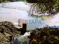 Prodej souboru čtyř rybníků v katastru obce Střítež u Jihlavy - Mlynsky bez vody (4).JPG