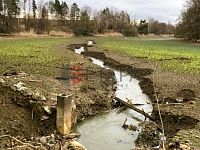 Prodej souboru čtyř rybníků v katastru obce Střítež u Jihlavy - Mlynsky bez vody (7).jpg