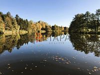 Prodej souboru čtyř rybníků v katastru obce Střítež u Jihlavy - Mlynsky napusteny (2).JPG