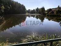 Prodej souboru čtyř rybníků v katastru obce Střítež u Jihlavy - Obecni (2).JPG