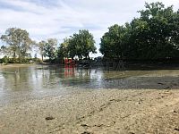 Prodej souboru čtyř rybníků v katastru obce Střítež u Jihlavy - Pisarsky (5).JPG