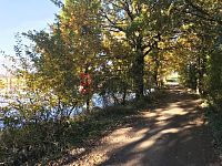 Prodej souboru čtyř rybníků v katastru obce Střítež u Jihlavy - Pisarsky napusteny (1).JPG