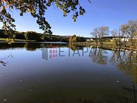 Prodej souboru čtyř rybníků v katastru obce Střítež u Jihlavy - Pisarsky napusteny (2).JPG