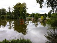 Prodej souboru čtyř rybníků v katastru obce Střítež u Jihlavy - Zámecký (1).JPG