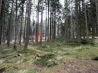 Pronájem zděné chaty se zahradou v osadě Lojzovy Paseky u Vodní nádrže Lipno. - les u chaty