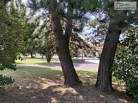 Stavební pozemek v obci Medlice - 1.500 m²  – rovina, zasíťovaný, 16 km od Dukovan - 04.JPEG