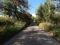 RD 4+1 Prosatín – zemědělská usedlost s pozemkem 7.312 m² v malé obci obklopené lesy - 21.JPG