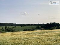 RD 4+1 Prosatín – zemědělská usedlost s pozemkem 7.312 m² v malé obci obklopené lesy - 26.JPEG