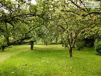 RD 4+1 Supíkovice, Jeseníky – dům s hezkou velkou zahradou a garáží v blízkosti města Jeseník - 03.JPG