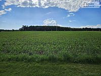 Pozemek Ostrovánky, 1.500 m² – hezký pozemek pro rodinný dům v blízkosti lesa, 7 km od Kyjova - 01.jpg