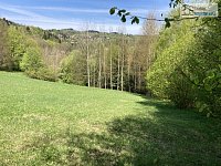 Stavební pozemek Branná, 3.500 m² – krásný pozemek v Jeseníkách, okraj obce, IS v blízkosti pozemku - 08.JPEG