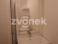 Vybavený 1+1 Malenovice, po reko, ihned - Obrázek k zakázce č.: 724441