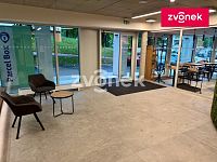 Nový byt 3+kk s terasou a zahrádkou, Nad Stráněmi - Obrázek k zakázce č.: 718802