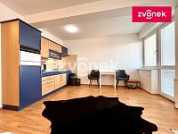 Pronájem 1+kk, Voženílkova, od 1.1.2026