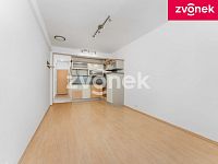 Byt 1+kk s lodžií, Podlesí - Obrázek k zakázce č.: 713222